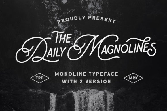 Daily Magnolines: The Modern Display Font for Authentic Branding